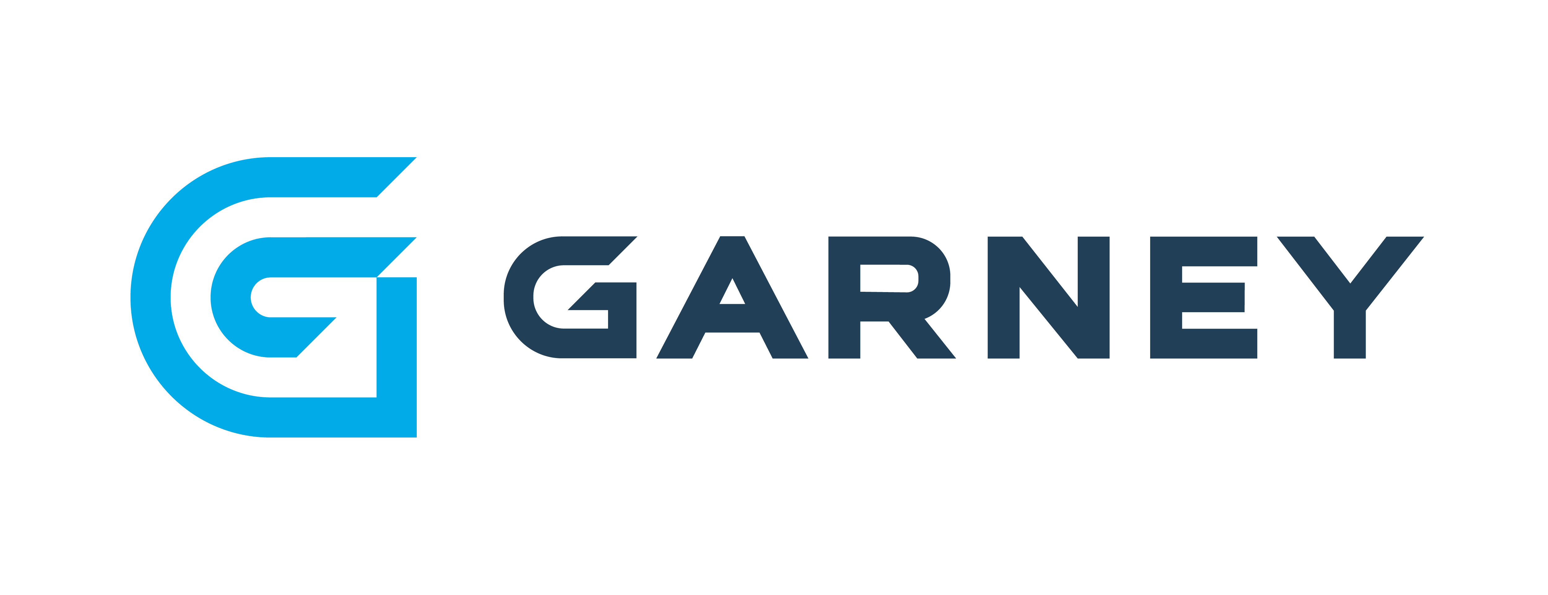 company-logo-21